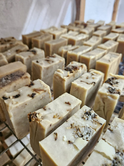 Aloe Veralı Eşek Sütü Sabunu – El Yapımı Doğal Sabun (100 gr)